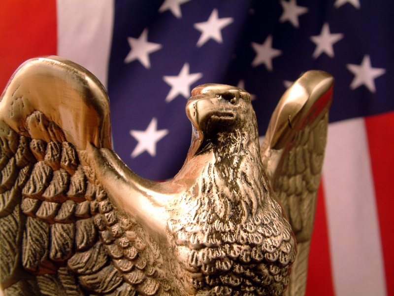 Important Role of Law In Every Culture Bronze Eagle US flag Important Role of Law In Every Culture